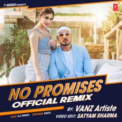 No Promises (Official Remix) - VANZ Artiste