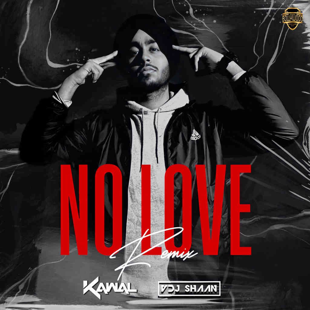 No Love (Remix) - DJ Kawal X VDJ Shaan