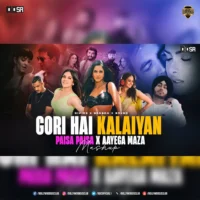Gori Hai Kalaiyan X Paisa Paisa X Aayega Maza (Mashup) - DIP SR