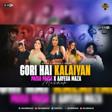 Gori Hai Kalaiyan X Paisa Paisa X Aayega Maza (Mashup) - DIP SR