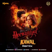 Deewaniyat (Remix) - DJ Kawal