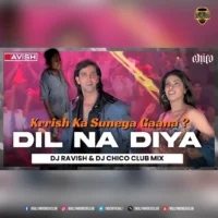 vDil Na Diya - Krrish Ka Sunega Gaana (Remix) - DJ Ravish & DJ Chico