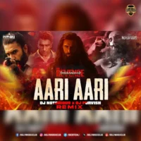 Aari Aari (Club Remix) - DJ Notorious × DJ Purvish