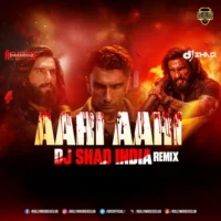 Aari Aari (Remix) - DJ Shad India