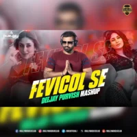 Fevicol Se (Mashup) - DJ Purvish